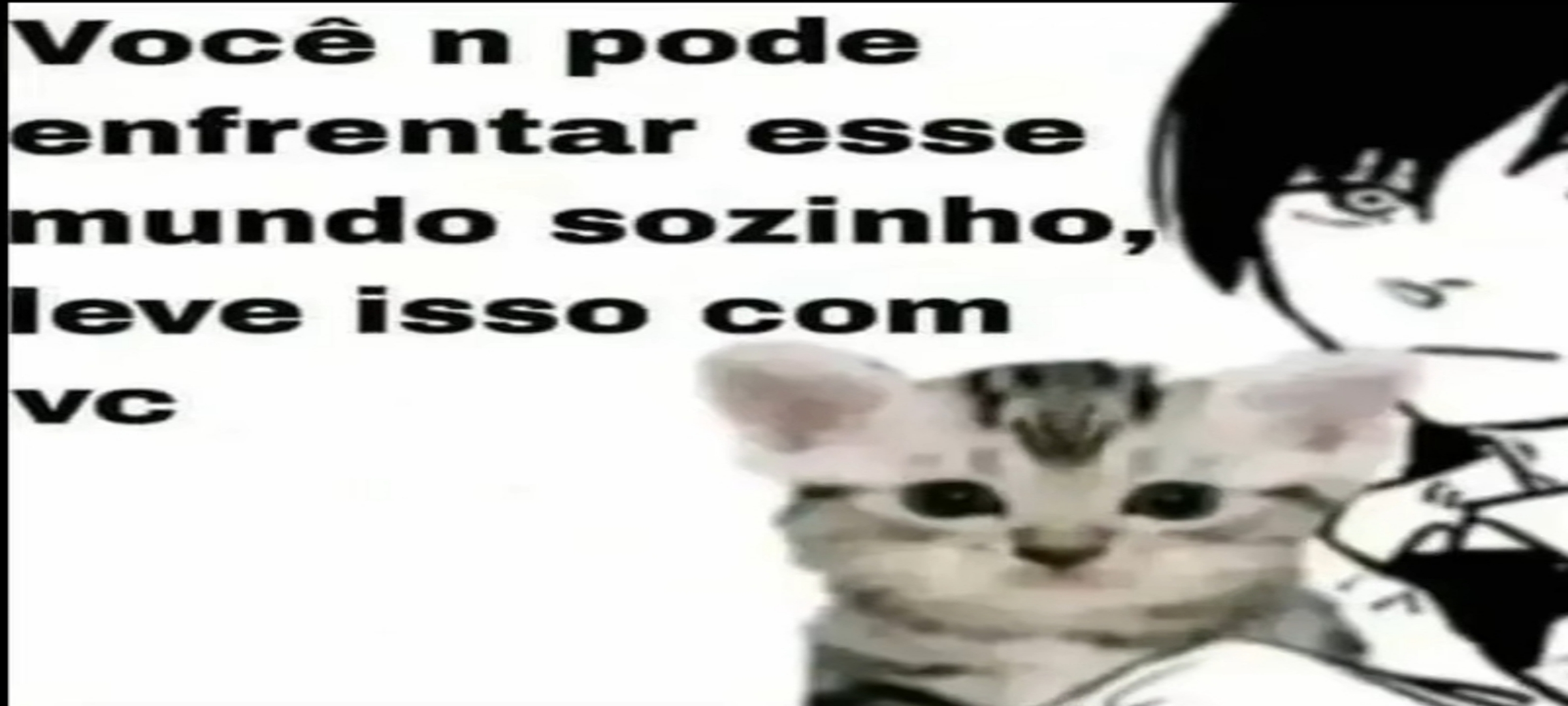 Figurinha